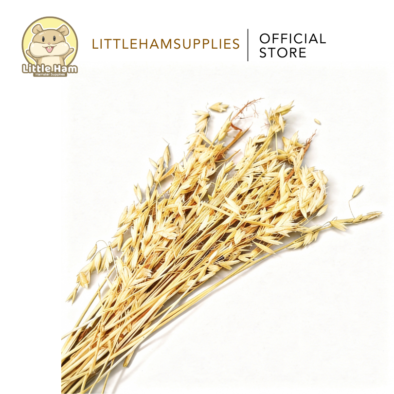 Wheat Spray Hamster Treats 15g