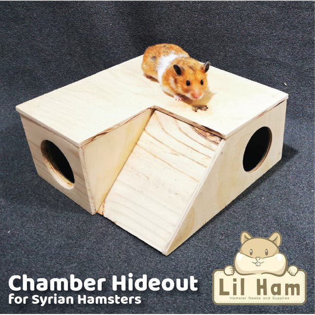 Chamber Hideout for Syrian Hamsters