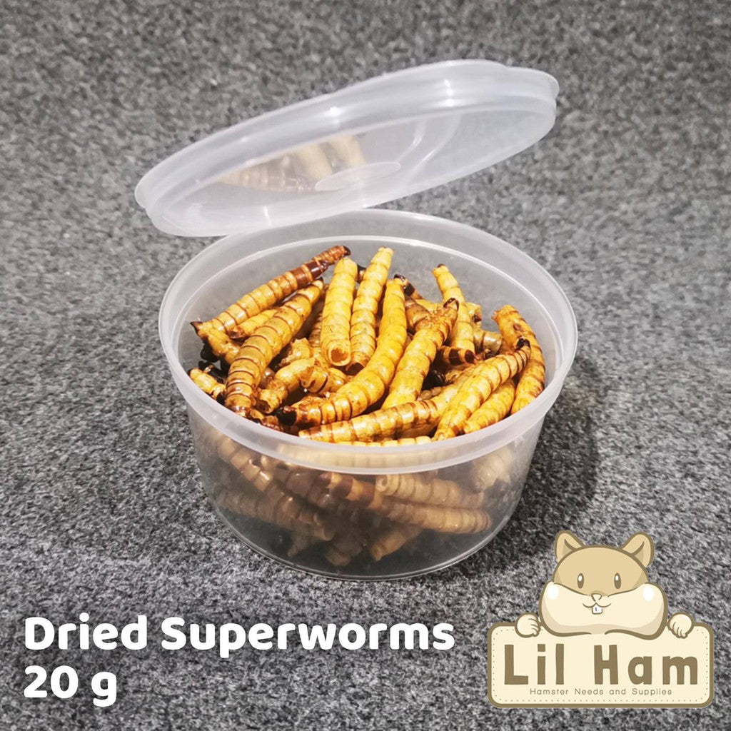 Dried Superworms 20g Hamster Treats