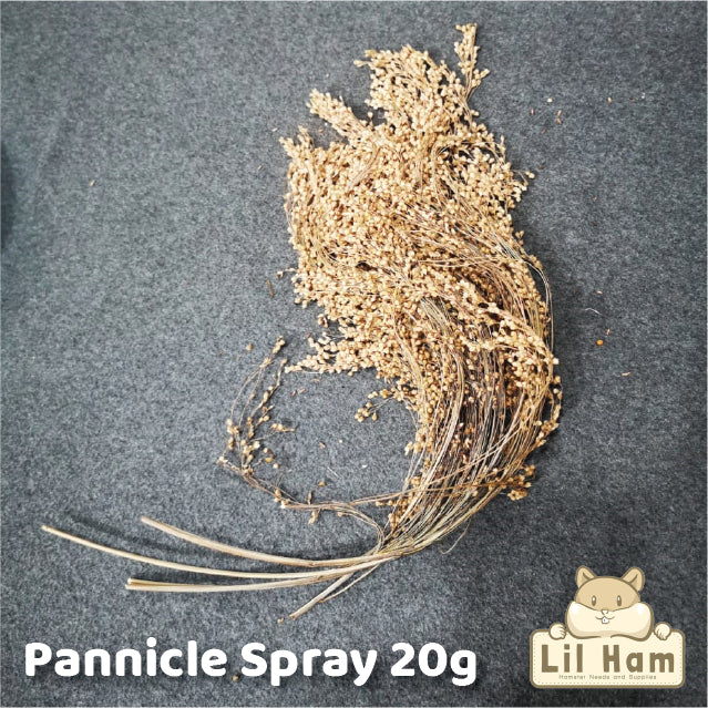 Pannicle Spray Treats 20g for Hamsters Mice Birds Small Pets