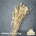 Wheat Spray Hamster Treats 15g