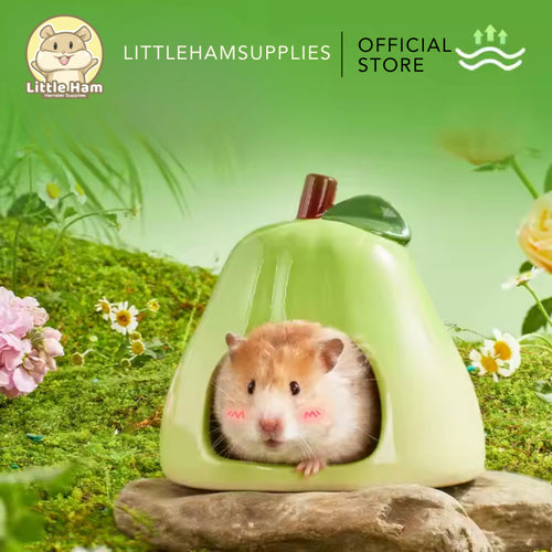 Bucatstate Ceramic Green Pear Hideout for Small Pets