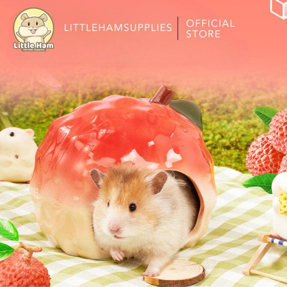 Bucatstate Ceramic Lychee Hideout for Small Pets