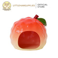 Bucatstate Ceramic Lychee Hideout for Small Pets