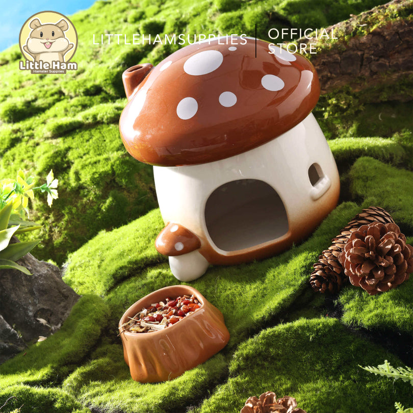 Bucatstate Ceramic Mushroom Hideout Brown / Green Removable Top