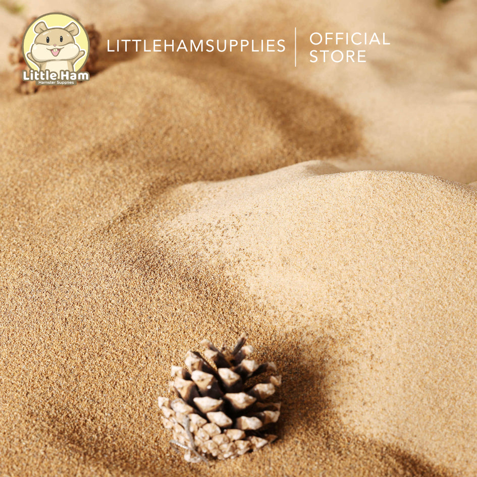 BUCATSTATE Fine / Coarse / White Desert Sand Unscented 2.5kg