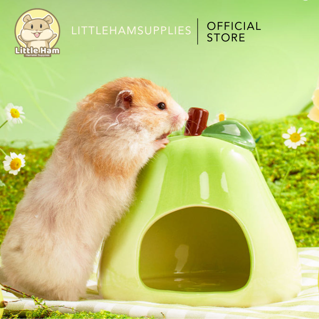 Bucatstate Ceramic Green Pear Hideout for Small Pets