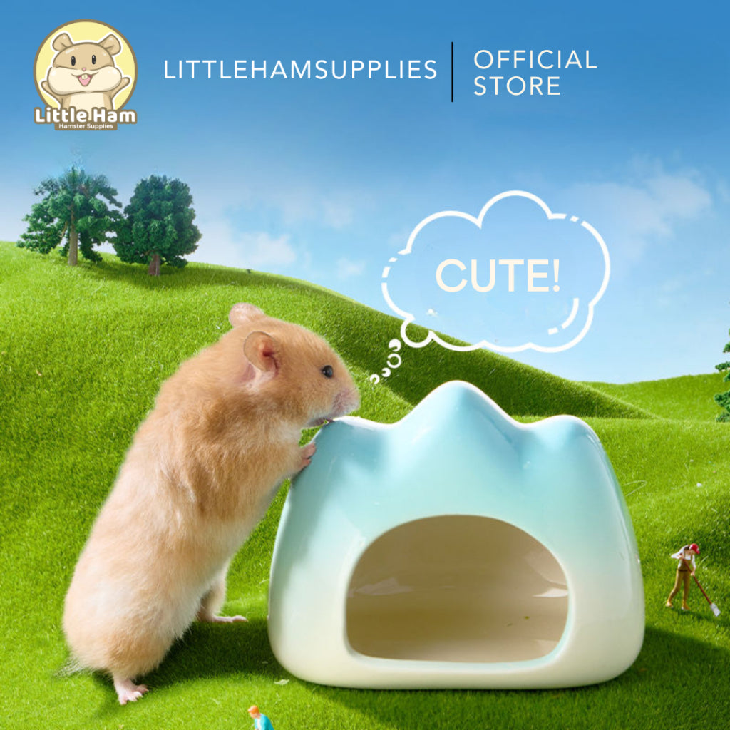 Bucatstate Ceramic Mountain Shape Hideout for small pets