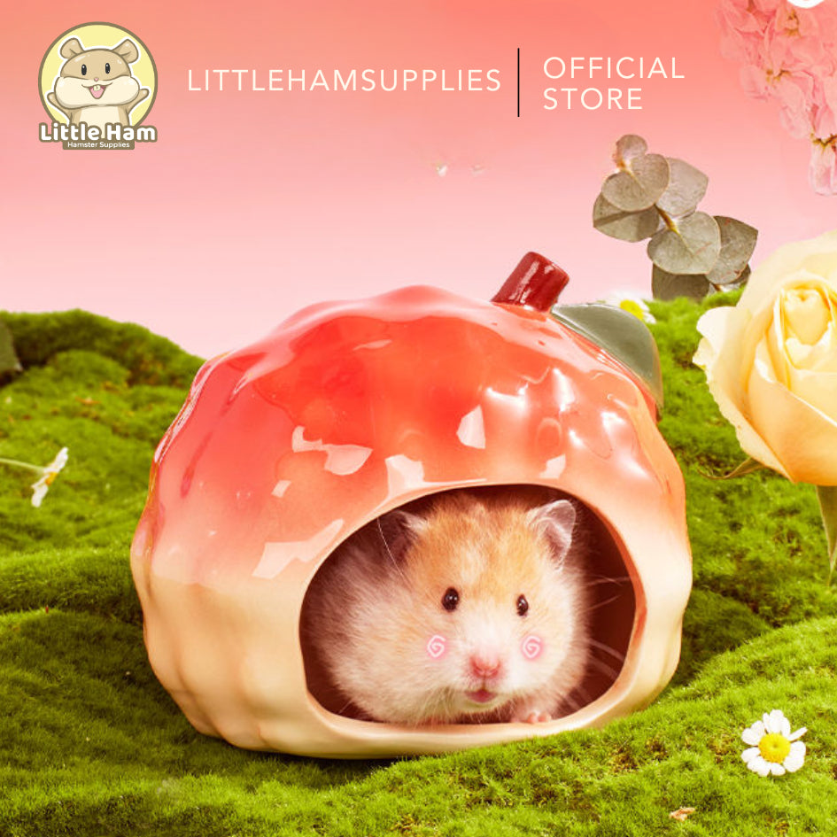 Bucatstate Ceramic Lychee Hideout for Small Pets