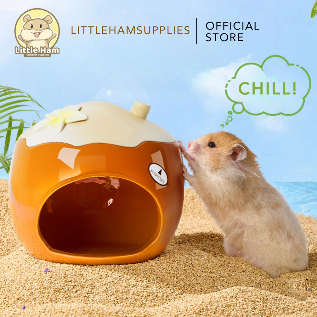 Bucatstate Coconut Ceramic  Hideout Green / Brown for small pets