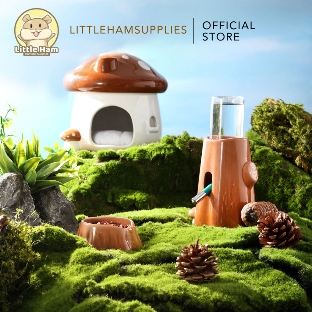 Bucatstate Ceramic Mushroom Hideout Brown / Green Removable Top