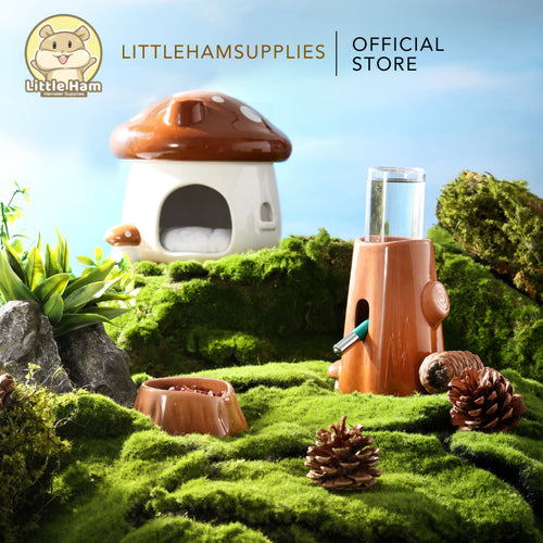 Bucatstate Ceramic Mushroom Hideout Brown / Green Removable Top