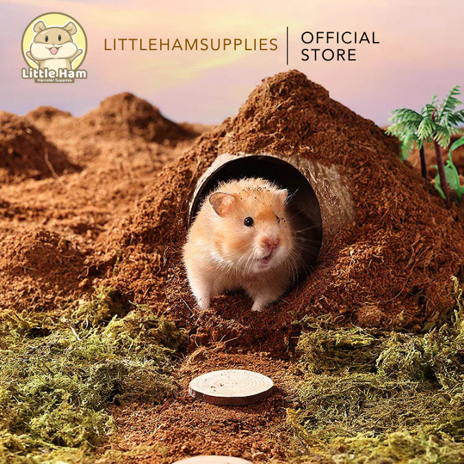 BUCATSTATE Cocopeat Soil Substrate added Texture for Small Pets 4L