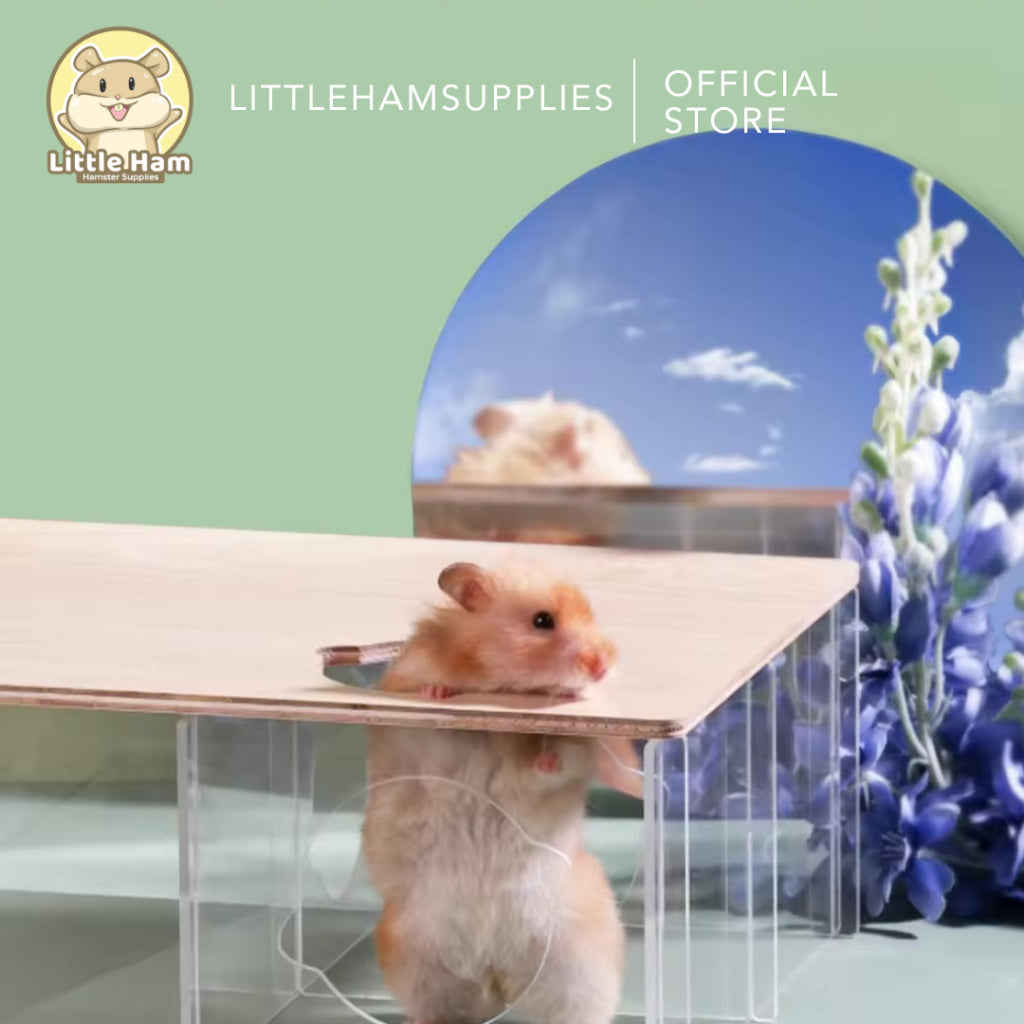 BUCATSTATE Custom 3 Chamber Wood and Arylic Hamster Nest House for Small Animals