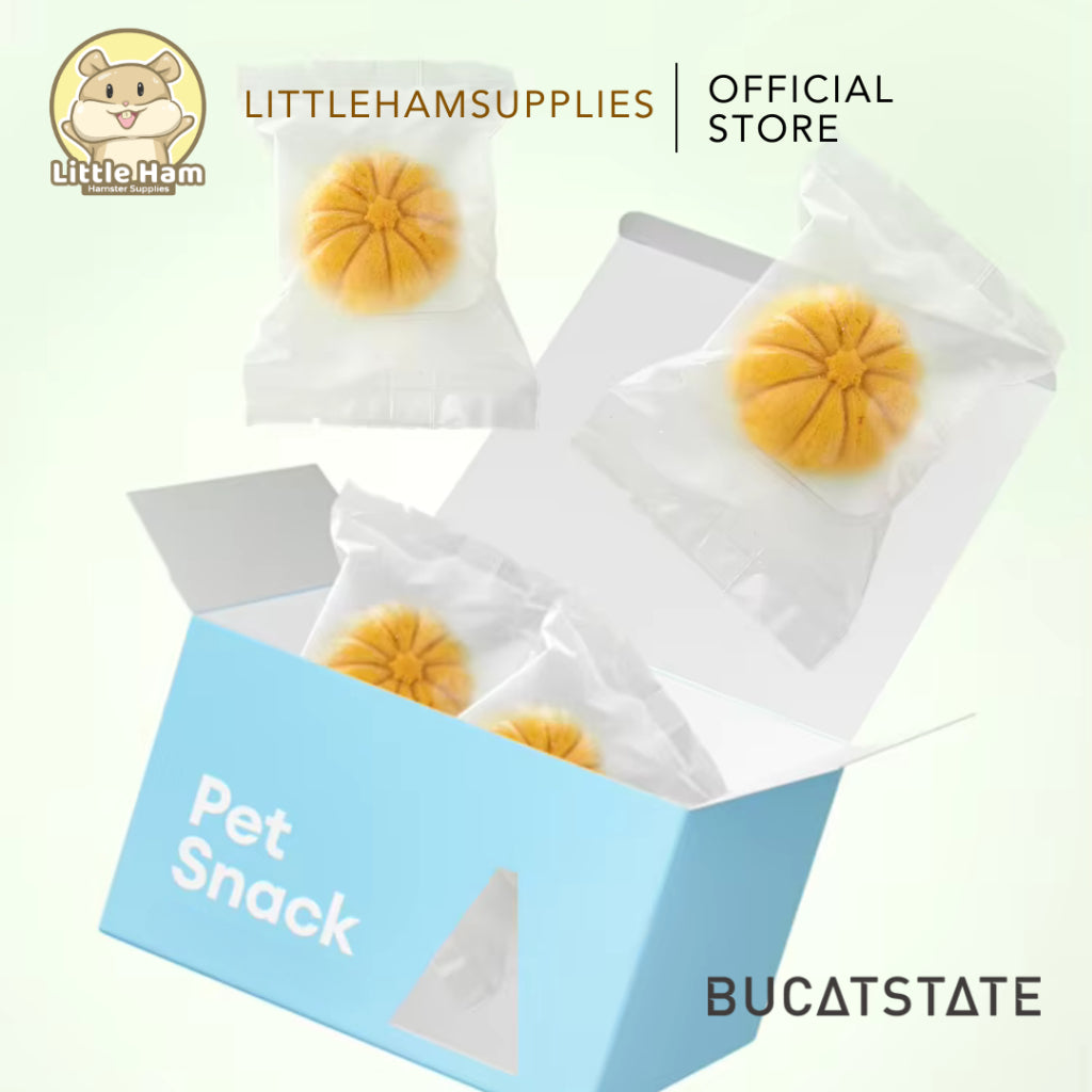 Bucatstate Pumpkin Chew Treats Chia / Flower / Pumpkin Flavor for teeth Grinding and treats