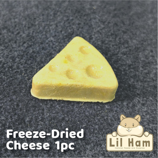 Bucatstate Freeze Dried Cheese Small Hamster Treats 1pc