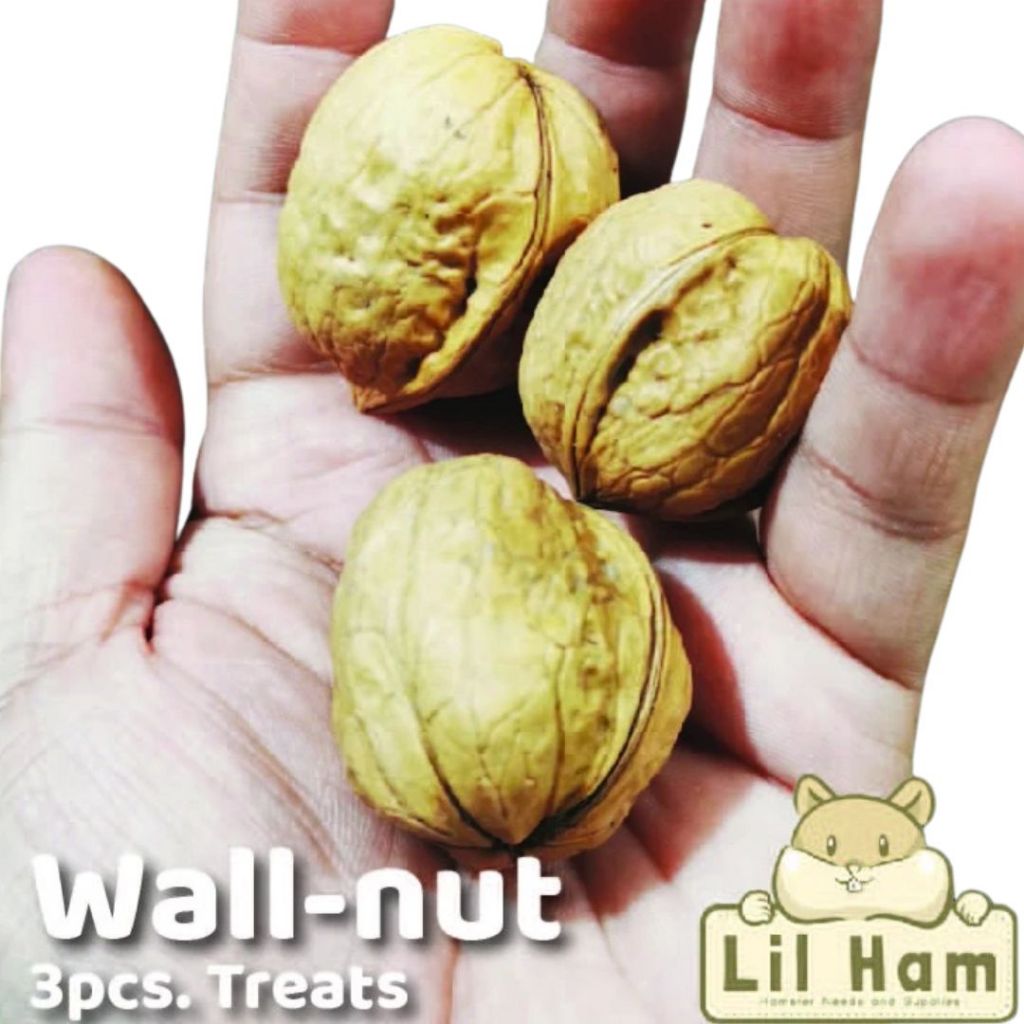 Wall-nut Hamster Treats 3pcs.