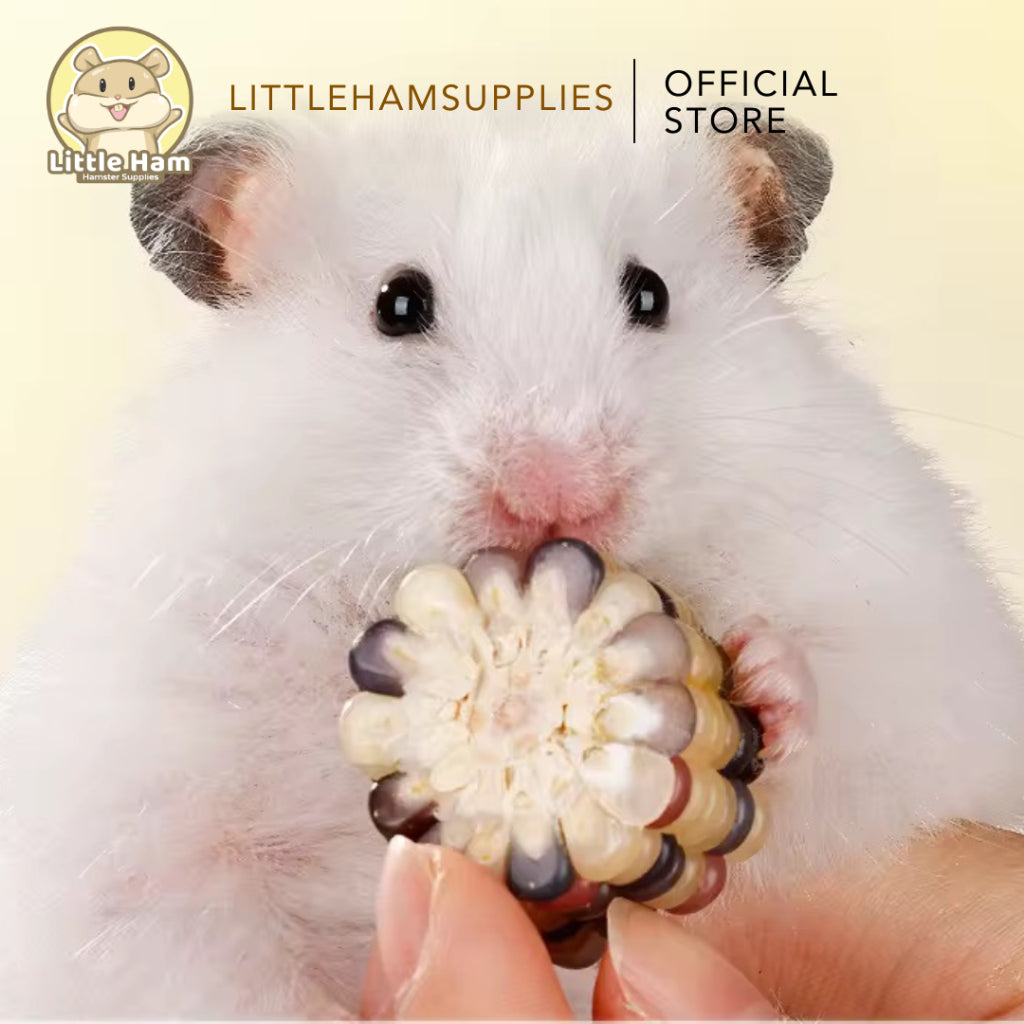 BUCATSTATE Chew Corn Cob Grinding Teeth for Small Pets 4 small pcs.