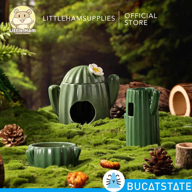 BUCATSTATE Cactus Shape  Ceramic Hamster Summer Hideout for Small Animals