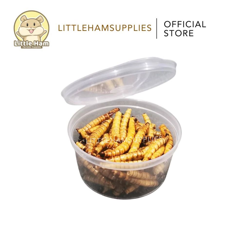 Dried Superworms 20g Hamster Treats