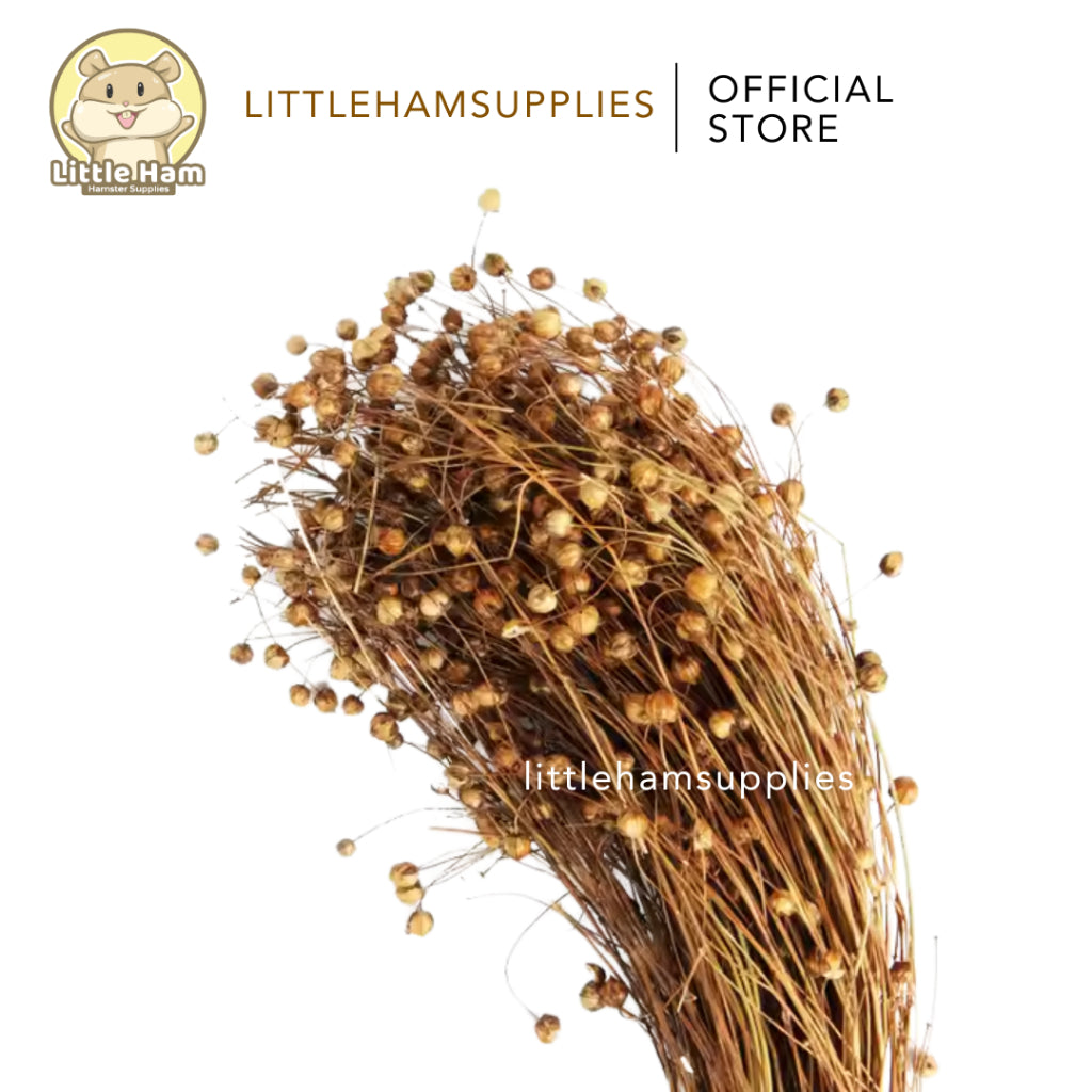 Flax Spray Hamster Treats 15g