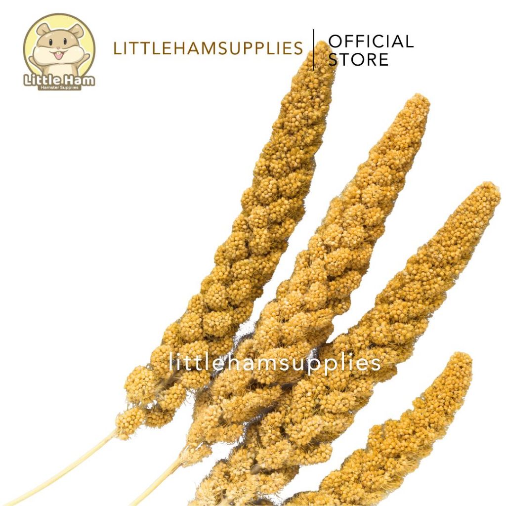 Millet Spray Hamster Treats 1 Stem