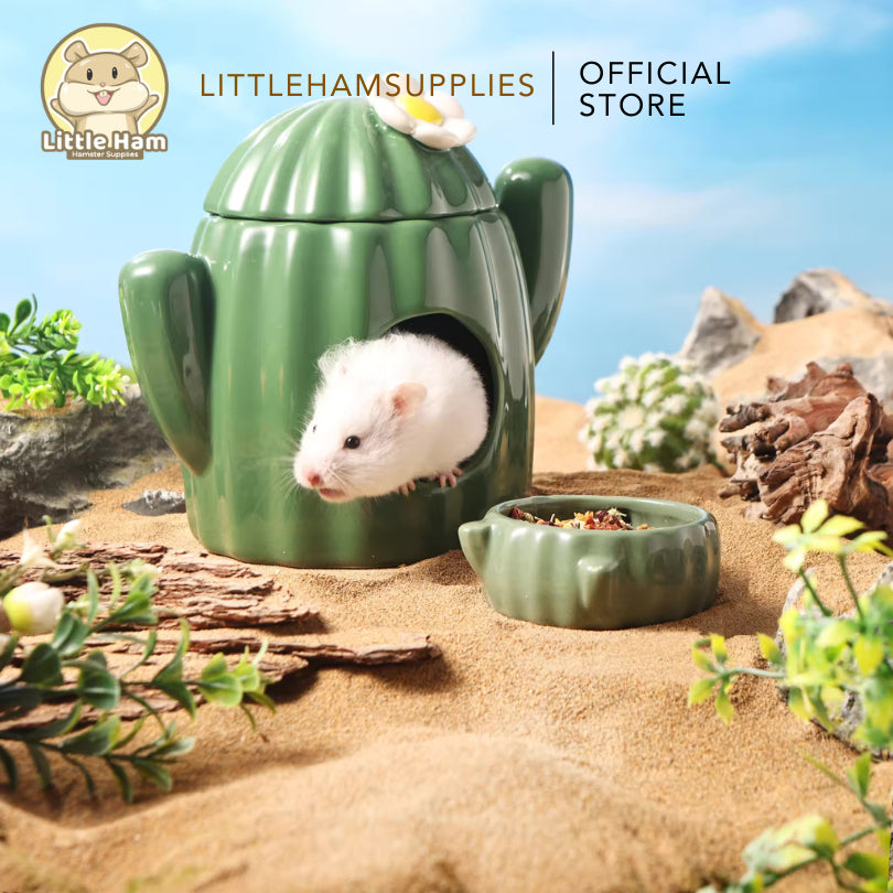 BUCATSTATE Cactus Shape  Ceramic Hamster Summer Hideout for Small Animals