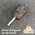 Silver Sorghum Spray