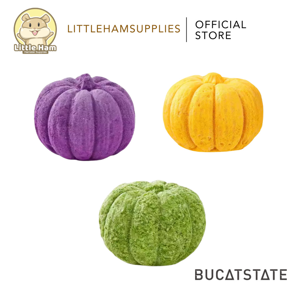 Bucatstate Pumpkin Chew Treats Chia / Flower / Pumpkin Flavor for teeth Grinding and treats