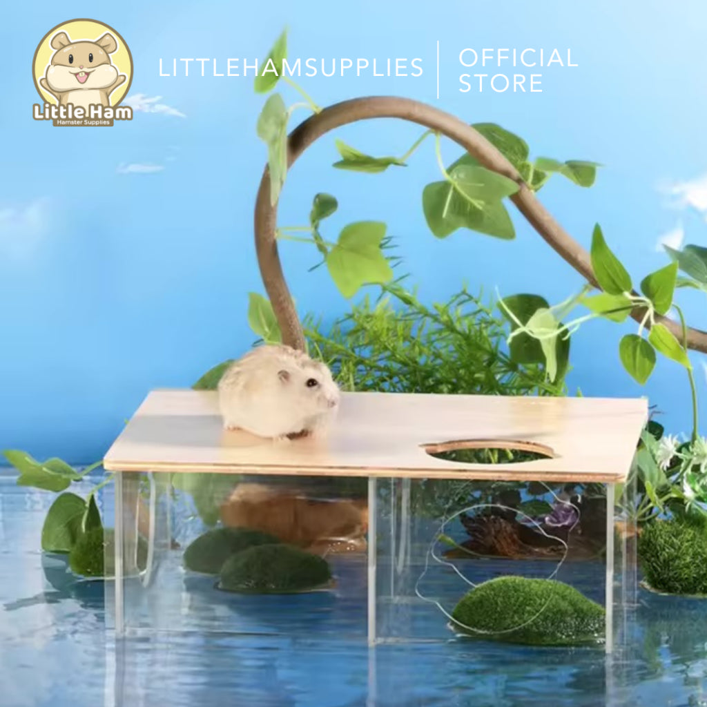 BUCATSTATE Custom 3 Chamber Wood and Arylic Hamster Nest House for Small Animals