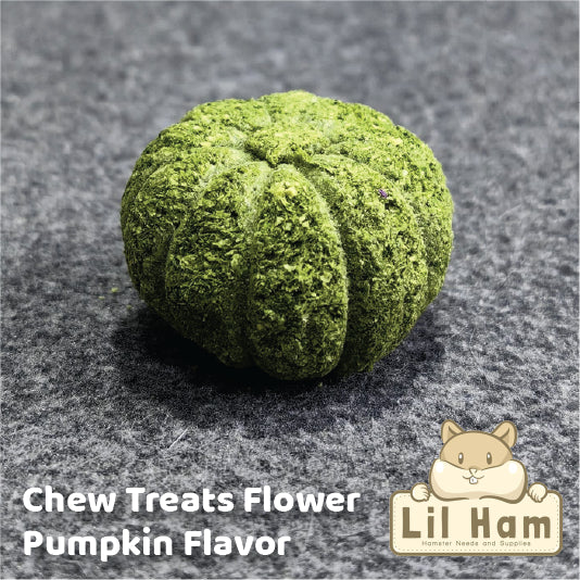 Bucatstate Pumpkin Chew Treats Chia / Flower / Pumpkin Flavor for teeth Grinding and treats