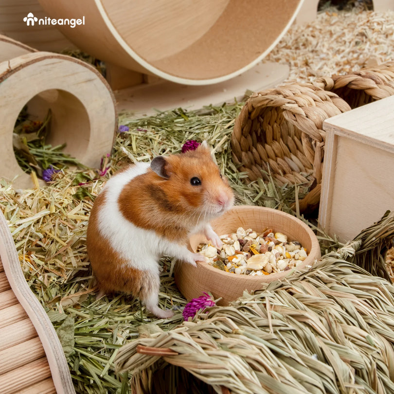 Niteangel High Quality Wood Food Dish Feeding Bowl Hamster Gerbils Mice & Small Rodent Pet