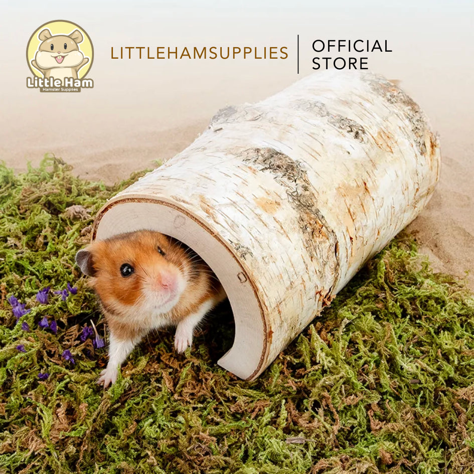 Niteangel Natural Birch Tree Log Cave Hideout for small pets Small