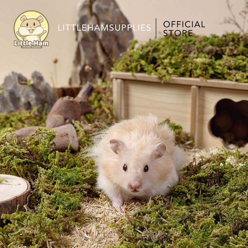 Tafit 5L Forest Moss Soft Natural Moss Decoration Texture Substrate Bedding Hamster & Small Pets