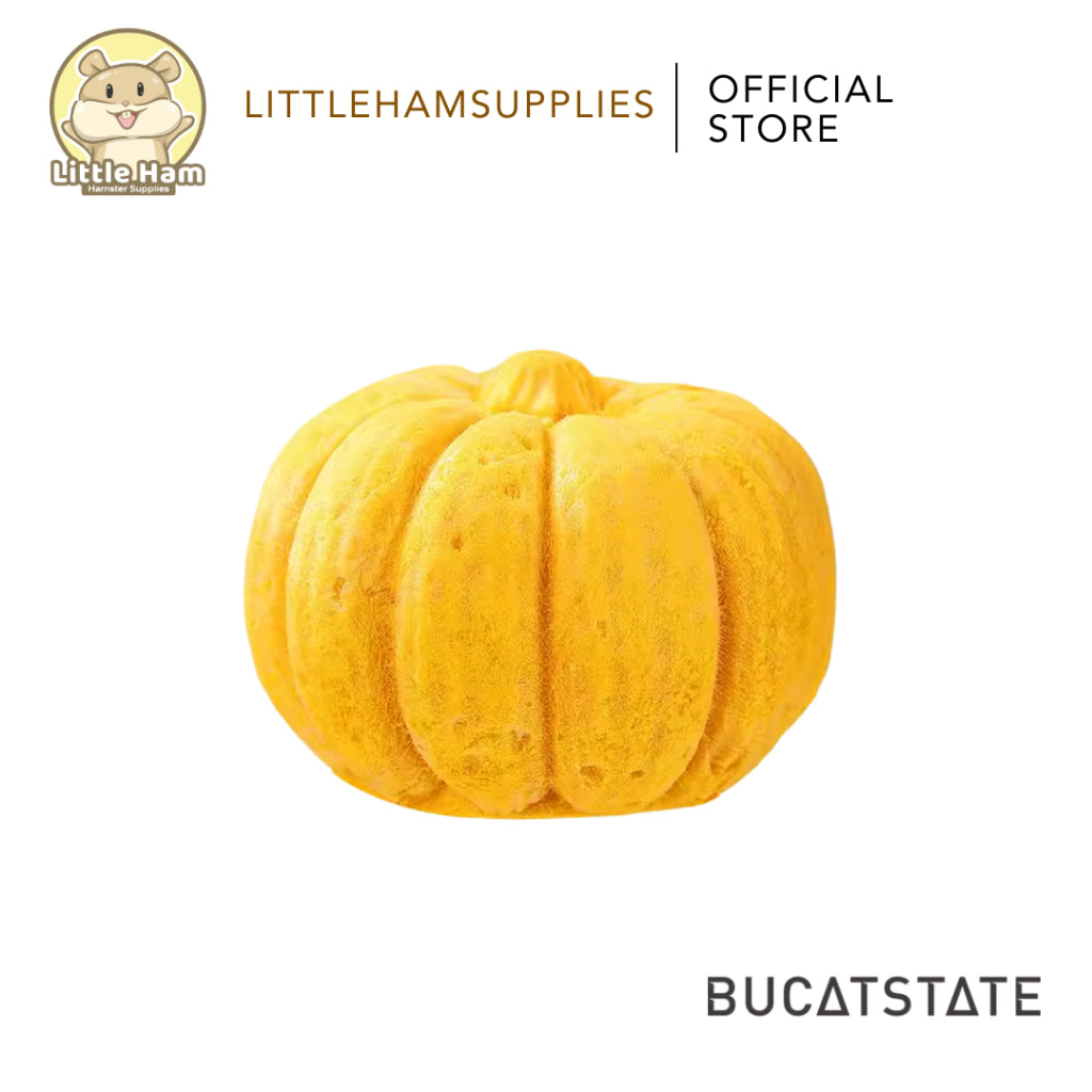 BUCATSTATE Pumpkin Chew  Design for teeth Grinding and treats