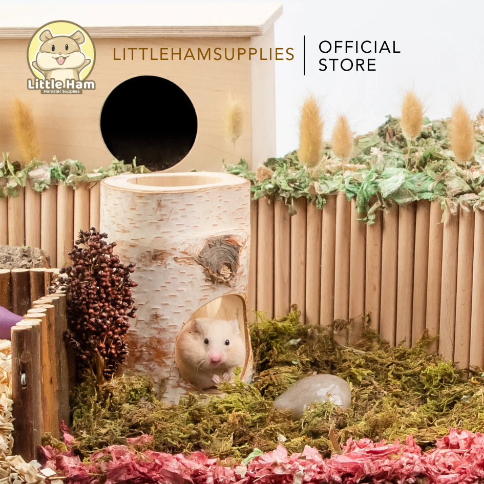 Niteangel Natural Birch Tree Log Tunnel Hideout for small pets