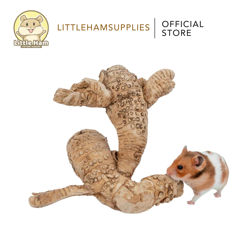 Niteangel Bamboo Roots Decoration for Small Pets Small and Big