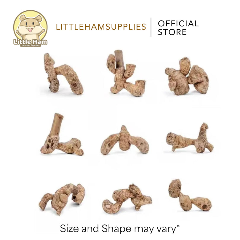 Niteangel Bamboo Roots Decoration for Small Pets Small and Big