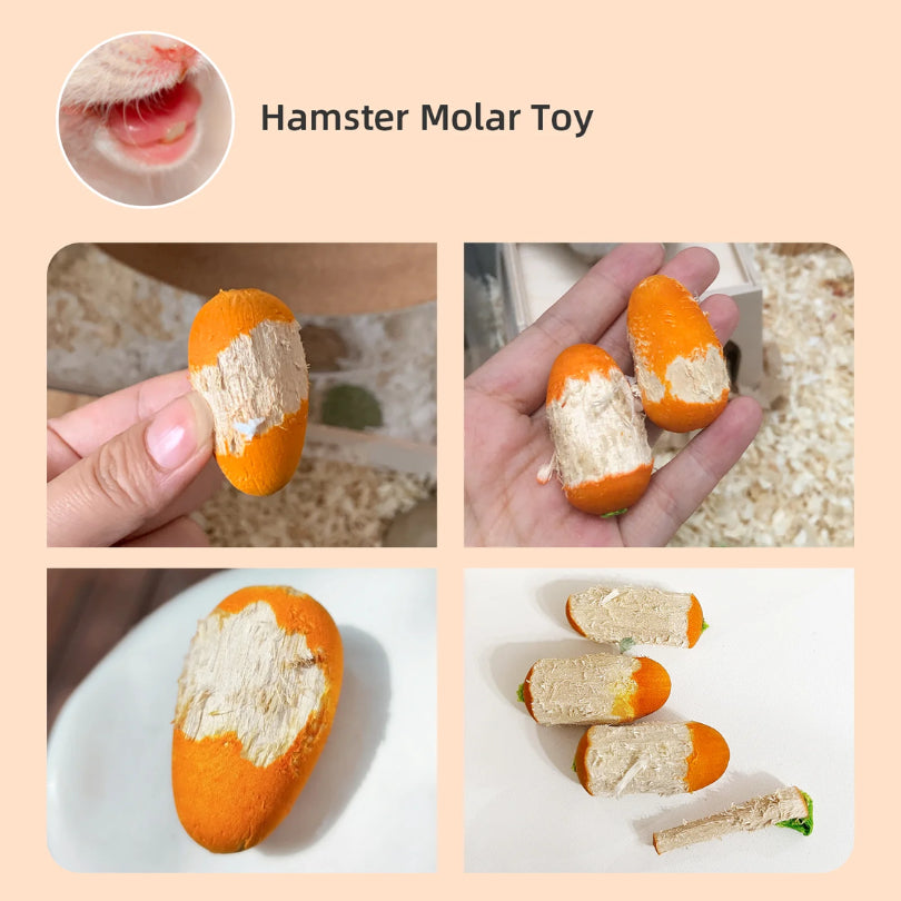 Niteangel Carrot Chew Molar Grinding Teeth Toy