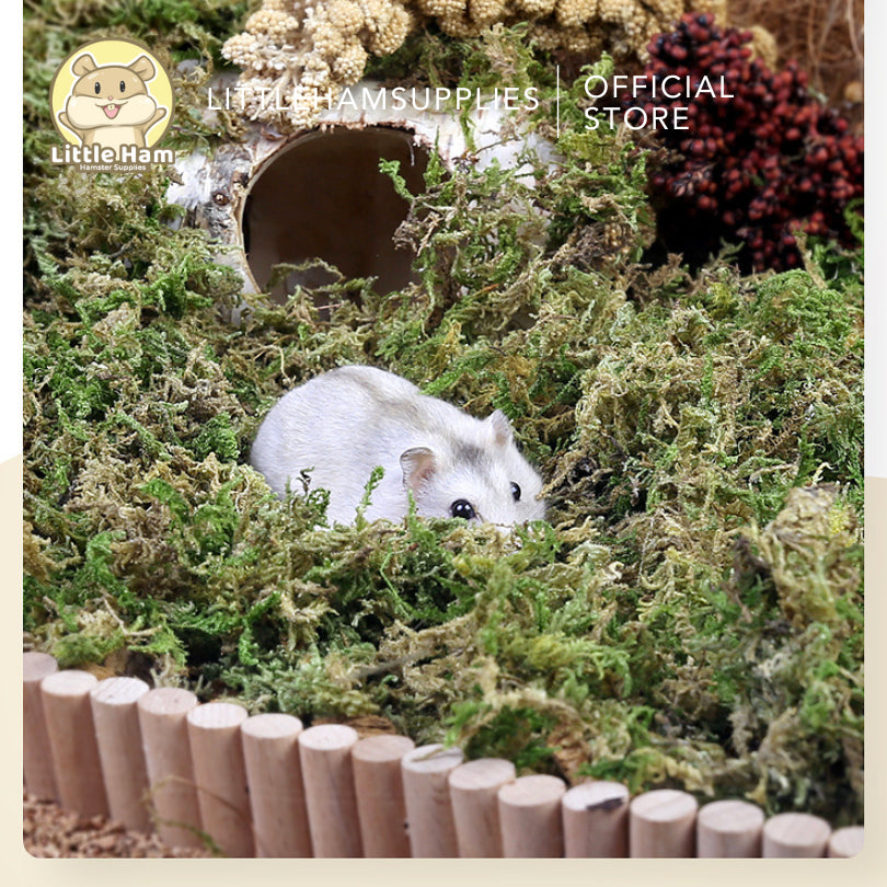 Tafit 5L Forest Moss Soft Natural Moss Decoration Texture Substrate Bedding Hamster & Small Pets
