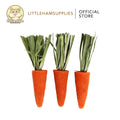 BUCATSTATE Chew Molar for Oral Care Carrot Sticks For small pets