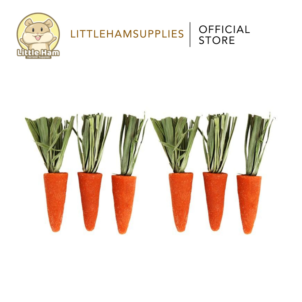 BUCATSTATE Chew Molar for Oral Care Carrot Sticks For small pets