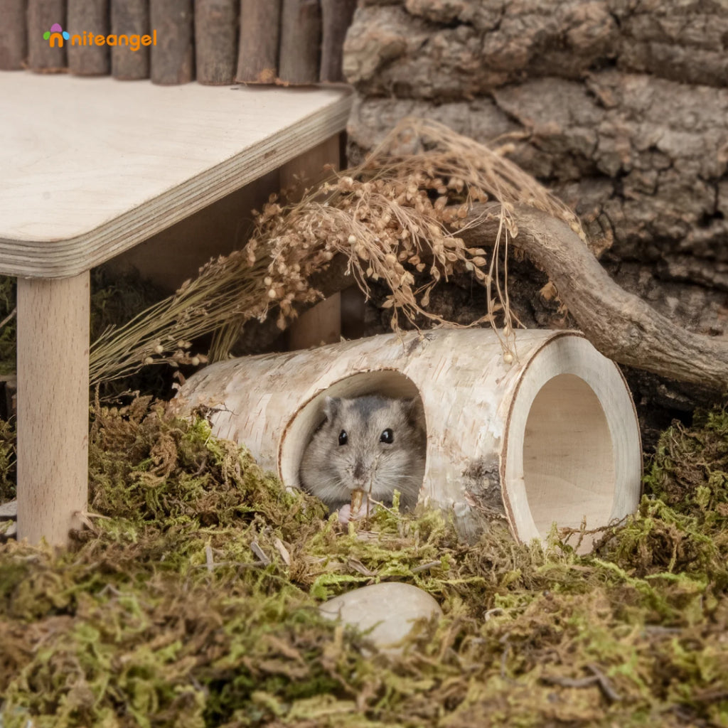 Niteangel Natural Birch Tree Log Tunnel Hideout for small pets