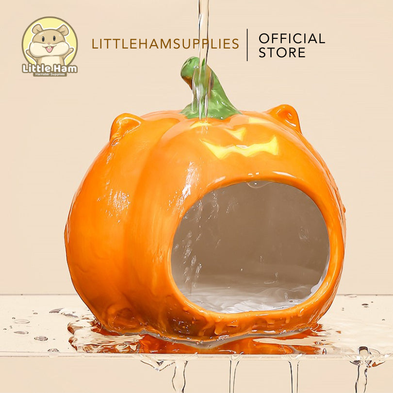 Tafit Pumpkin Ceramic Hideout for Small pets