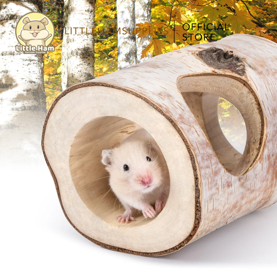 Niteangel Natural Birch Tree Log Tunnel Hideout for small pets