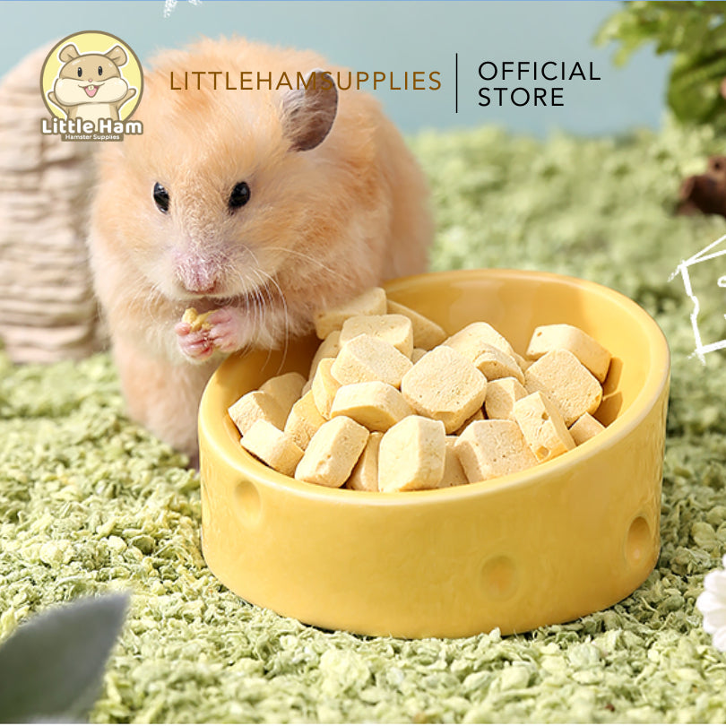 Tafit Cheese Ceramic Food Dish Feeding Bowl Hamster Dwarf Syrian Gerbils Mice & Small Rodent Pet