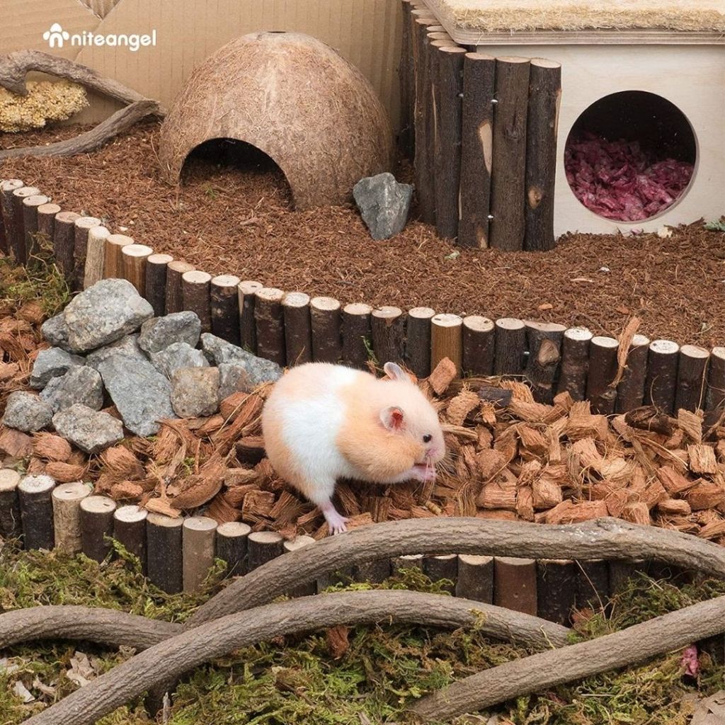 Niteangel 4L Coco Coir Chunk Chips Dry Digging Burrowing Substrate Bedding Hamster & Small Pets
