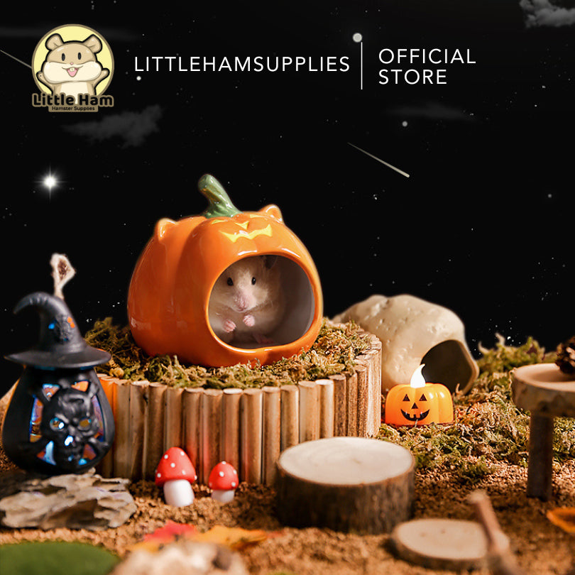 Tafit Pumpkin Ceramic Hideout for Small pets