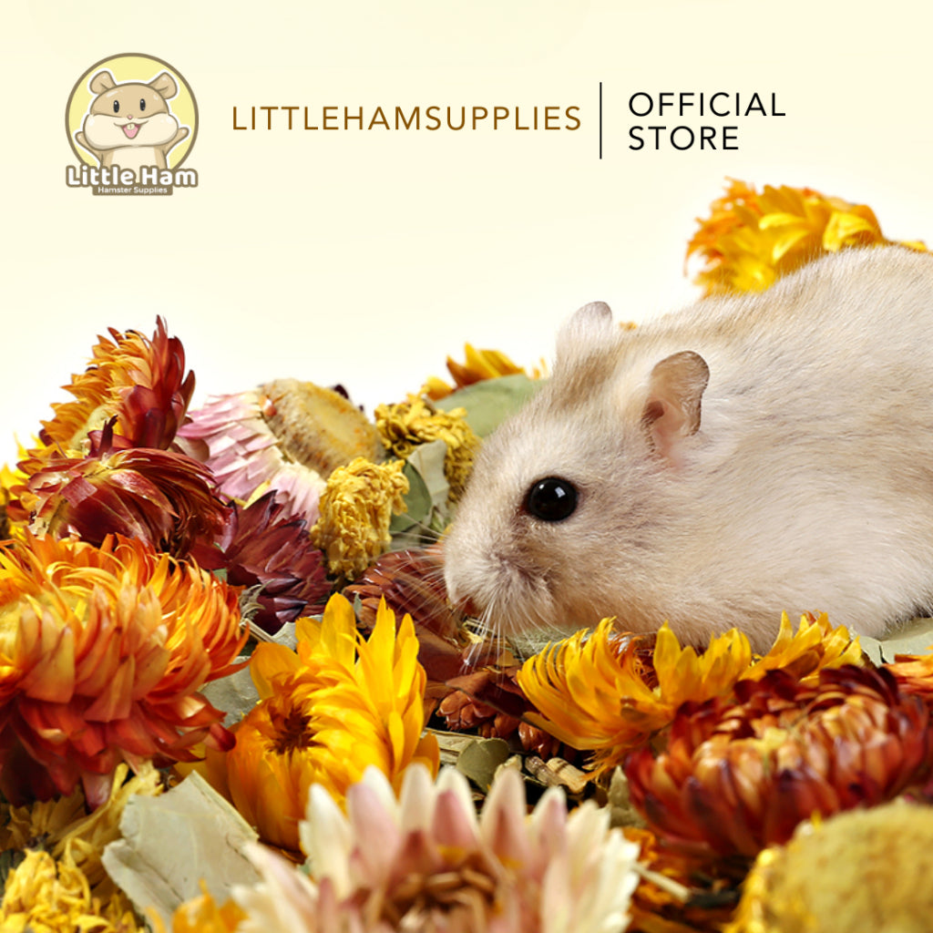 Tafit Flower Bedding Mix 100g for small pets