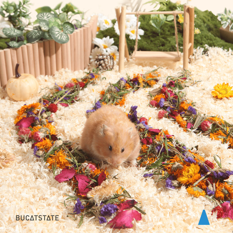 BUCATSTATE Natural Flower Bedding Decoration for small Pets 100g